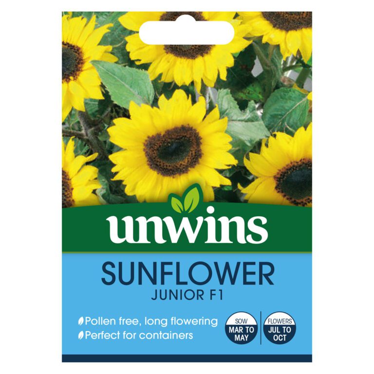 5051618016988 1 Sunflower Junior F1 Gro Sure Seeds.jpg